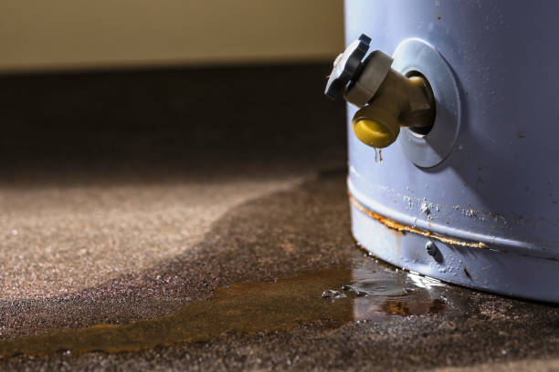 Best Water damage repair service  in Fort Shawnee, OH