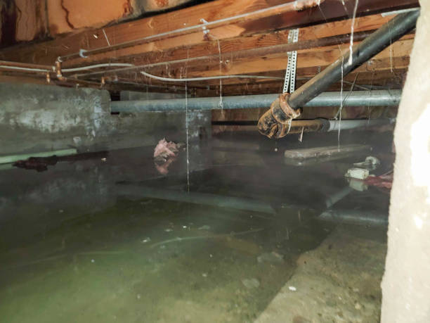 Best Emergency water damage restoration  in Fort Shawnee, OH