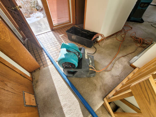 Best Fire Damage Restoration  in Fort Shawnee, OH