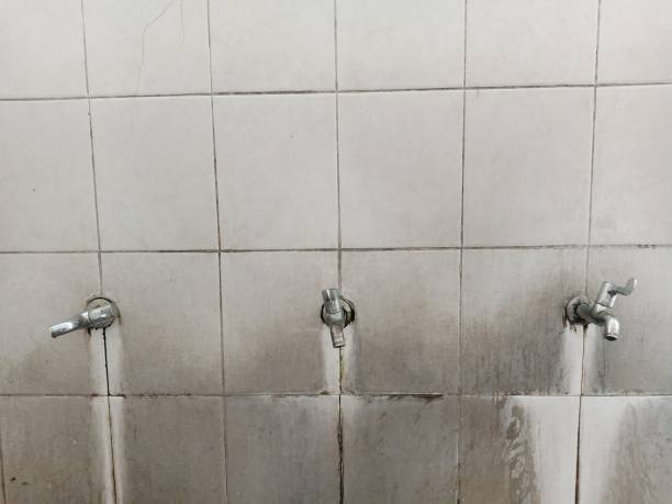 Best 24-hour water damage restoration  in Fort Shawnee, OH