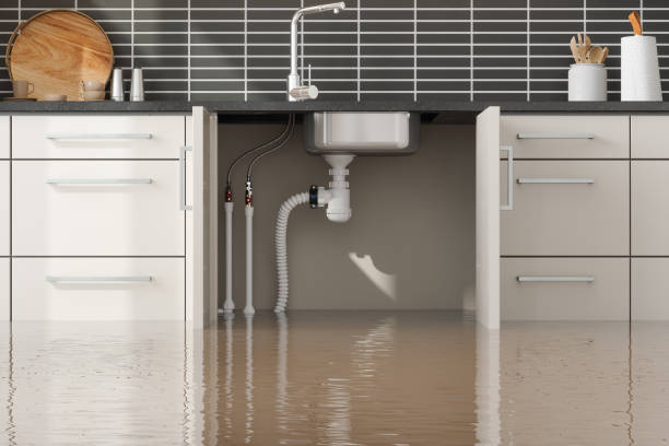 Best Flood damage cleanup  in Fort Shawnee, OH