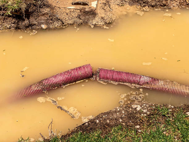 Best Residential water damage restoration  in Fort Shawnee, OH