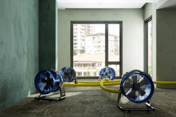 Best Water damage restoration near me  in Fort Shawnee, OH