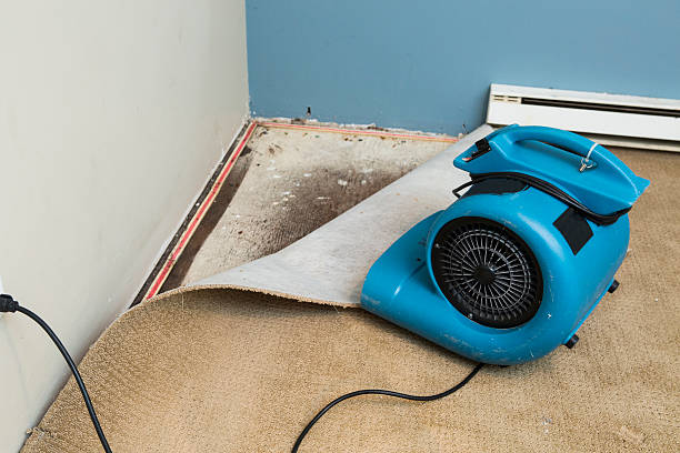  Fort Shawnee, OH Water damage restoration Pros